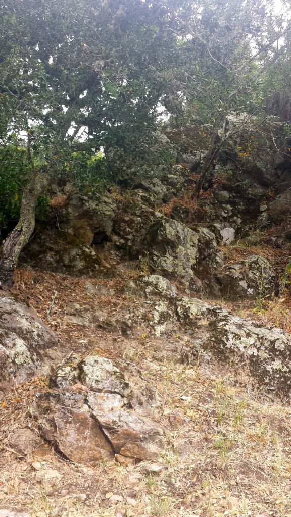 The rock Pir Dahan (“Mouth of the Pir”) in Fairfax, California, where Hazrat Inayat Khan meditated in 1923.